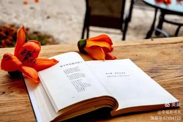 读书好，好读书，读好书